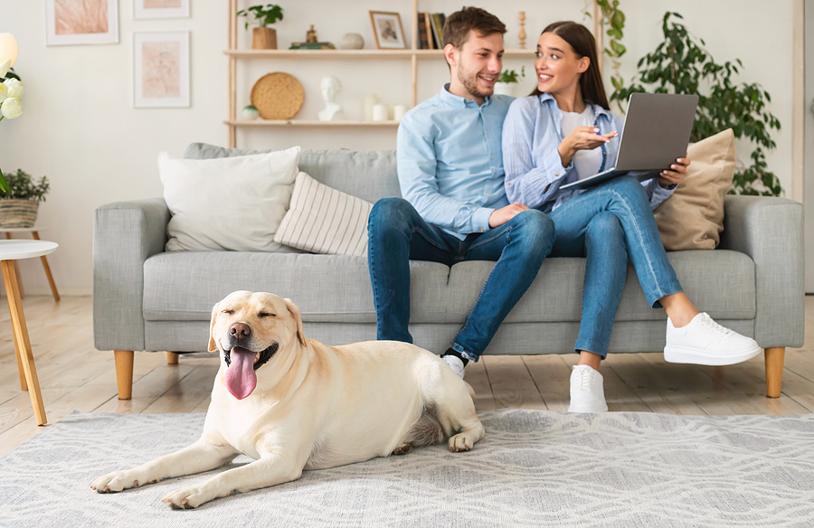 Why Pet-Friendly Homes Are in High Demand
